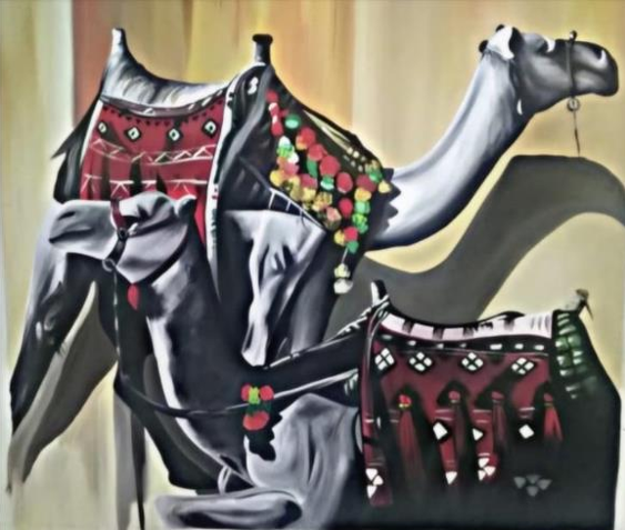 Camels